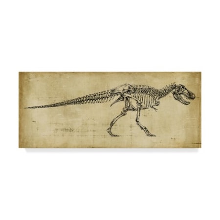 TRADEMARK FINE ART Ethan Harper 'Tyrannosaurus Rex Study' Canvas Art, 8x19 WAG00250-C819GG